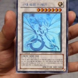 유희왕 고대 요정 드래곤 퍼홀 홀로 1st 고요드