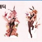 던파 바니 아크릴 컷신 쿠폰 판매 이미지