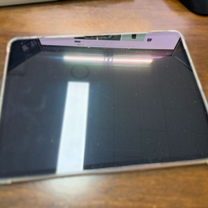 아이패드 프로 M4 13인치 셀룰러 2TB 스그 애케