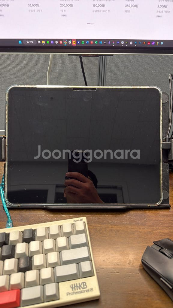 아이패드 프로 M4 13인치 셀룰러 2TB 스그 애케--1