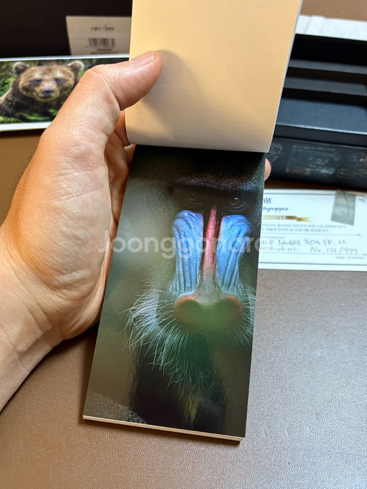 몬테그라파 와일드 바오밥 한정판 만년필--6