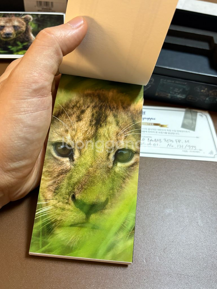 몬테그라파 와일드 바오밥 한정판 만년필--7