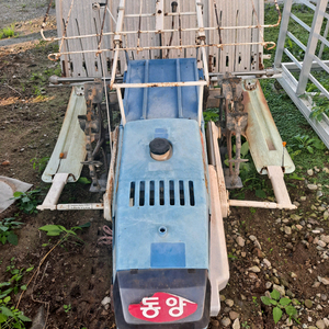 동양보행양기