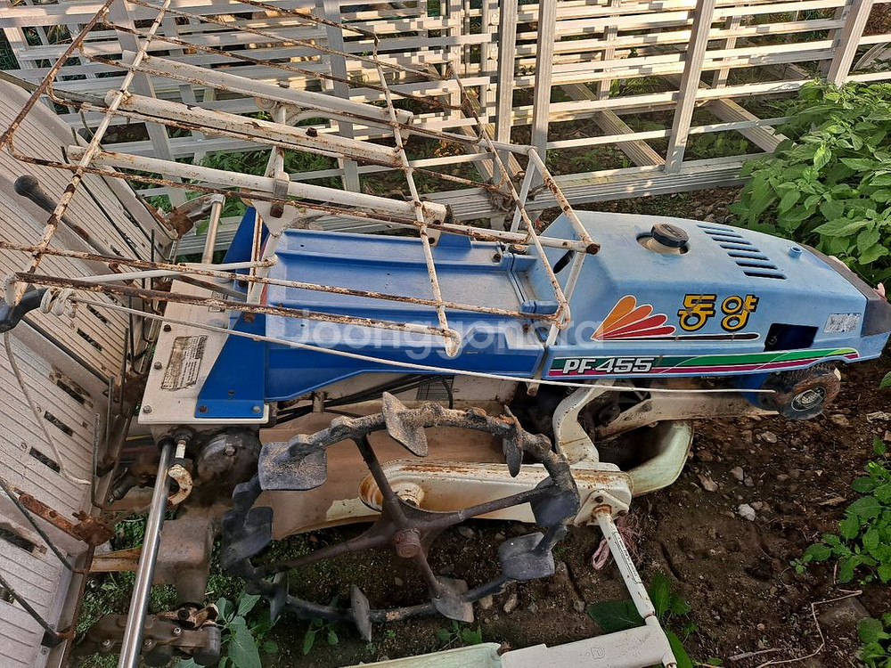 동양보행양기--1