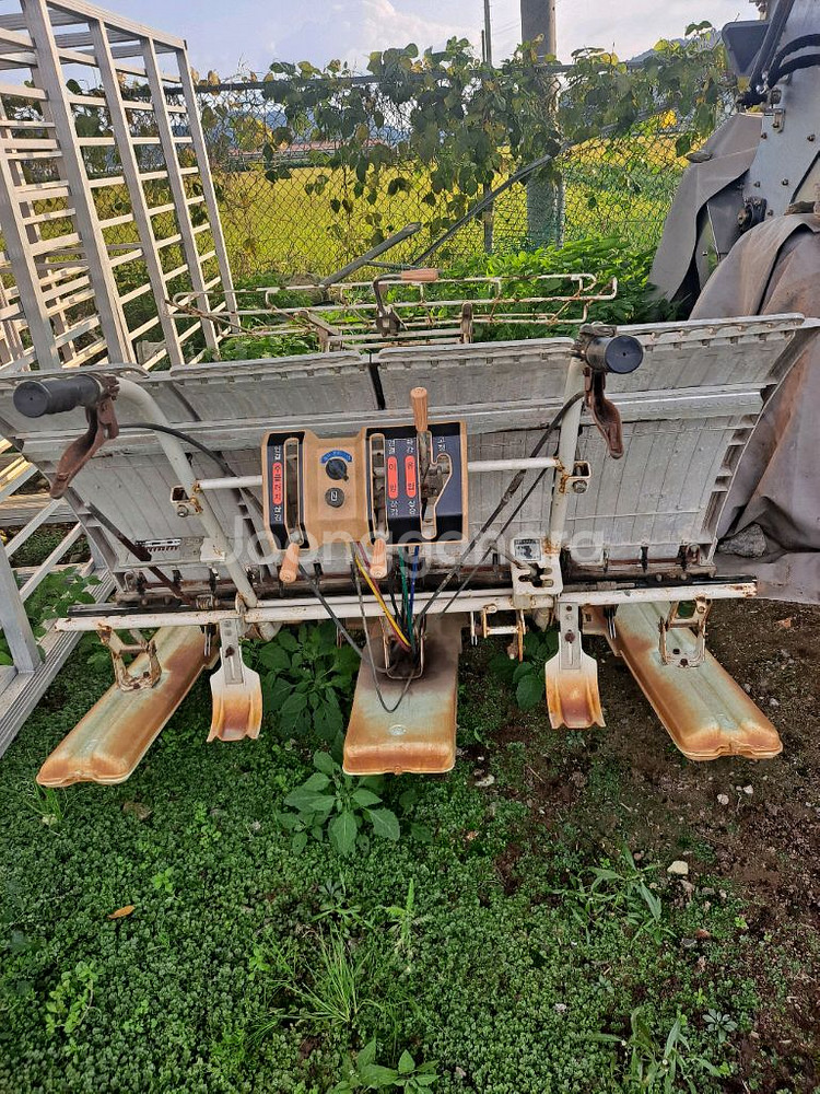 동양보행양기--2