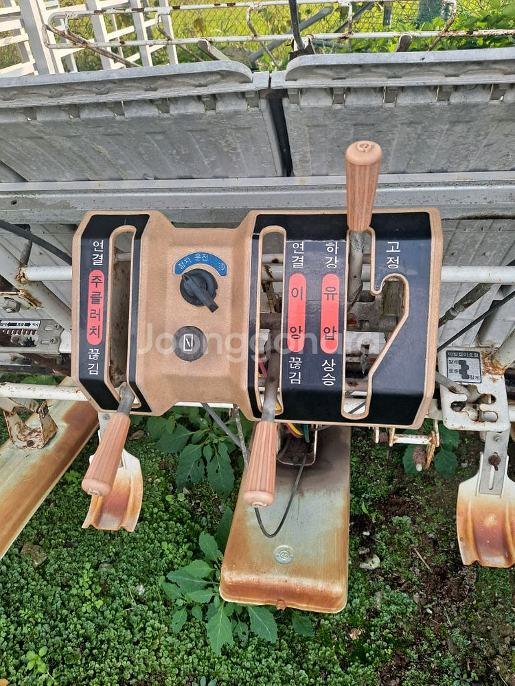 동양보행양기--3