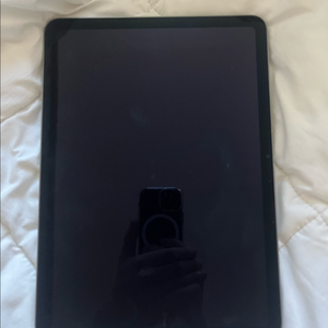 애플 아이패드 에어 6 m2 256gb s급