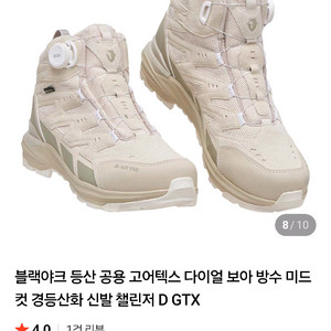 블랙야크 챌린지 D GTX 245mm