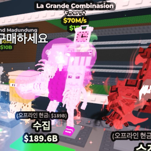 브레인로트 브레인롯으 캔디라그 70m