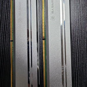 SK하이닉스 시금치 ddr5-5600 32gb*2개