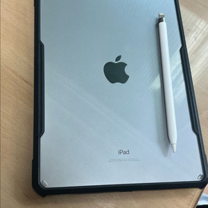 아이패드 프로 256gb 셀룰러 + 애플펜슬 + 케이스