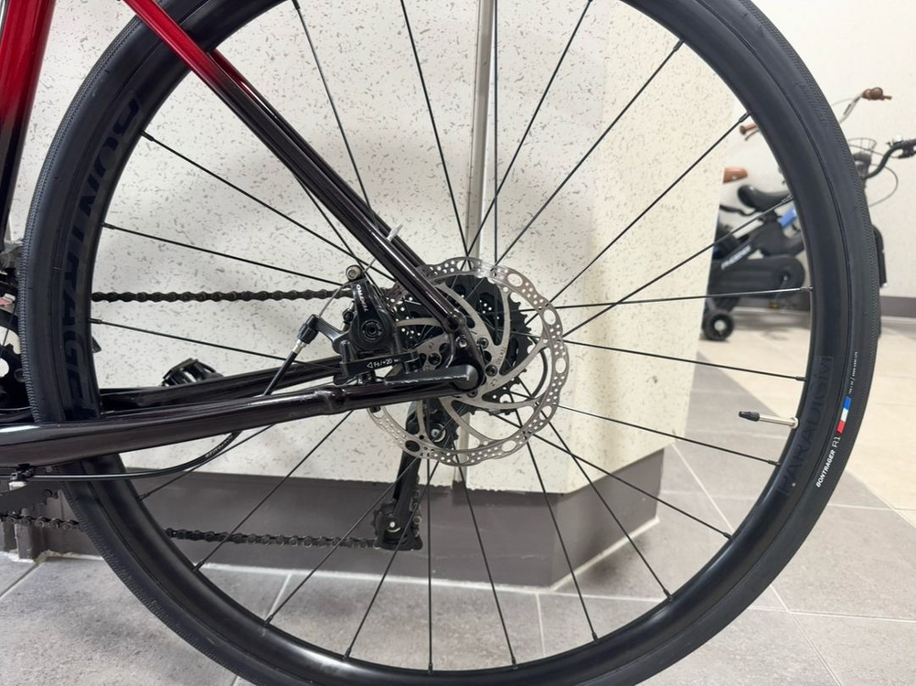 트랙 25년 신형 도마니 AL2 4세대 급처분 이미지