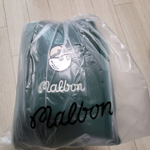 슈즈백 그린색상 팝니다 신발가방 골프화가방