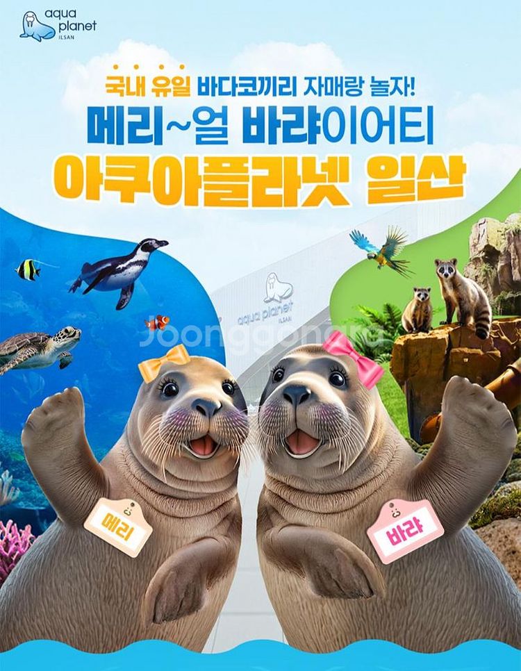 일산 아쿠아플라넷 종합권--0