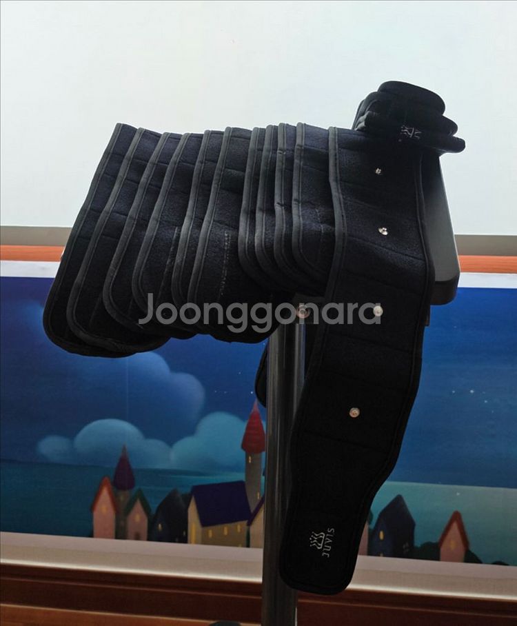 JUVIS 쥬비스 듀얼텐 다이어트 기기--5