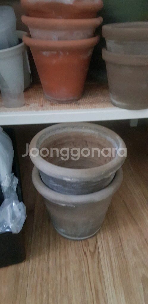 두갸르송 기타등등--0