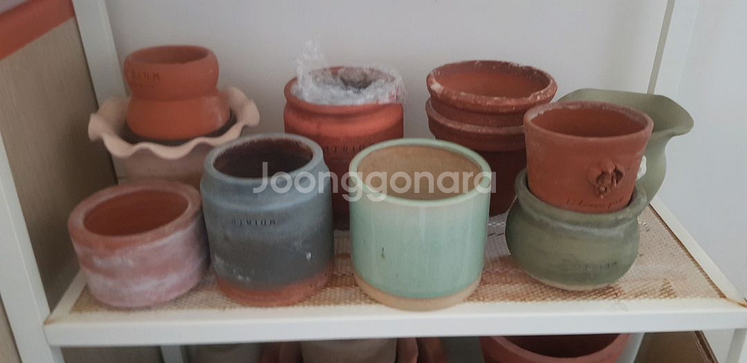 두갸르송 기타등등--3