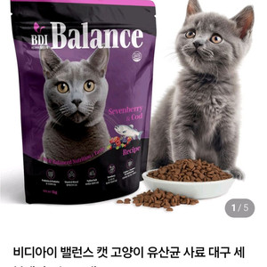 비디아이 고양이 샘플사료 1.5kg