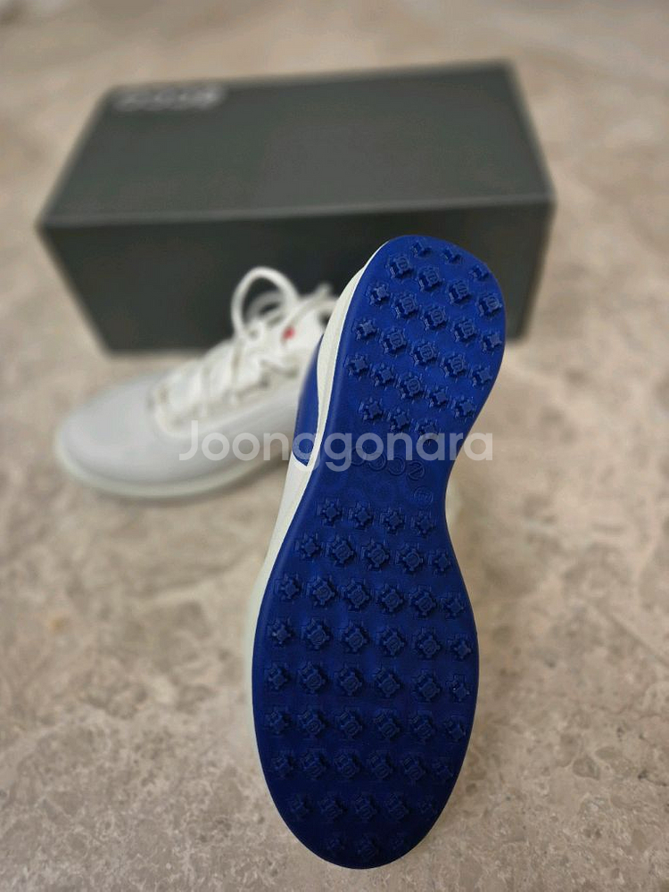 에코 남성 골프화 44 275~280 새상품--2