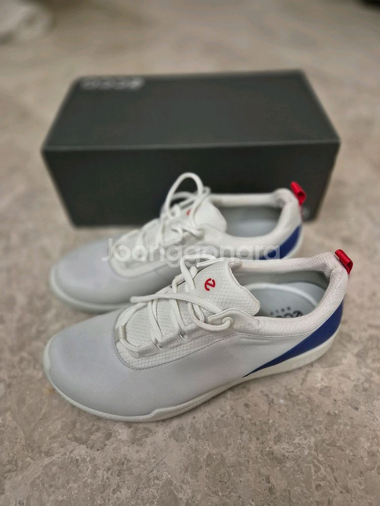 에코 남성 골프화 44 275~280 새상품--0