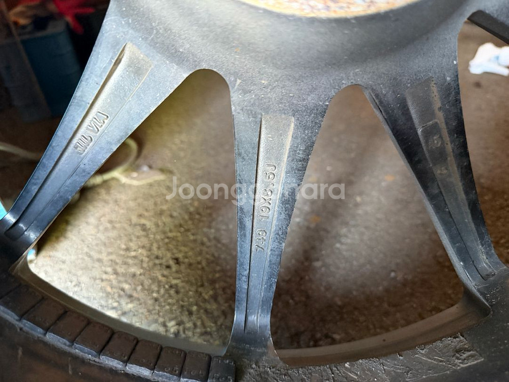 아비드 텐알 19인치 묻따--0