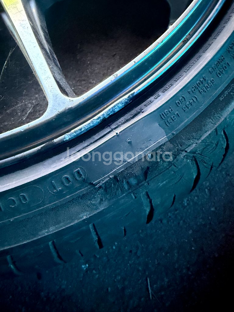 아비드 텐알 19인치 묻따--3