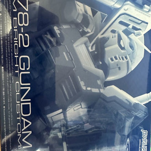 RG 퍼스트 건담 팀브라이튼 커스텀새상품 택포