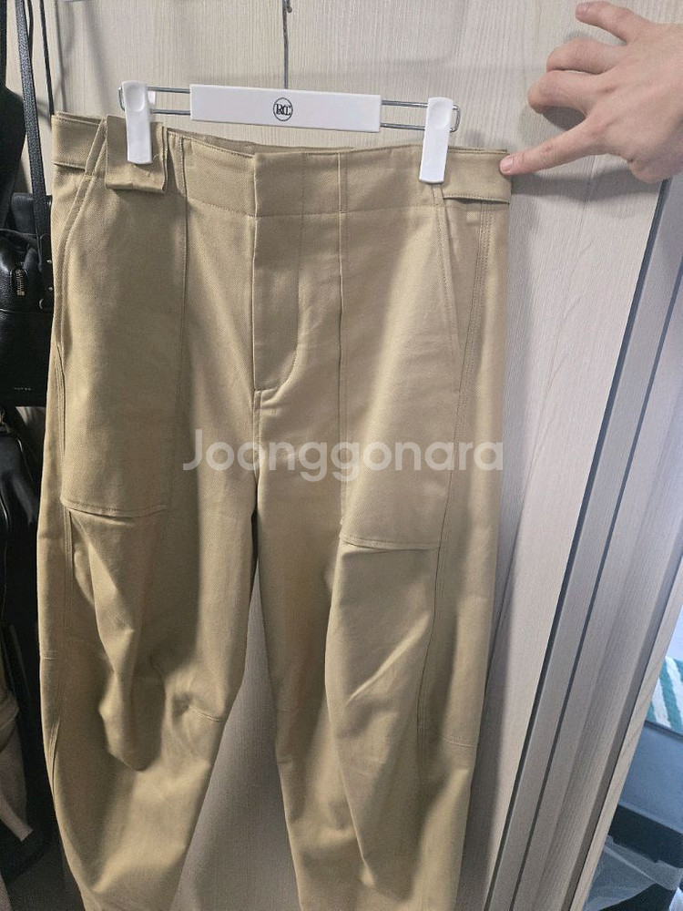 렉토박지--0