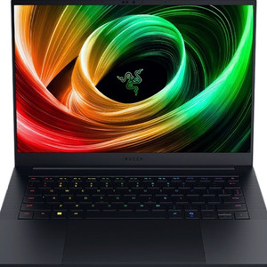 레이저블레이드 14 (2025) 5070 64gb 2T