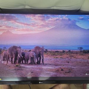 LG(32LM581CBND)32인치 TV