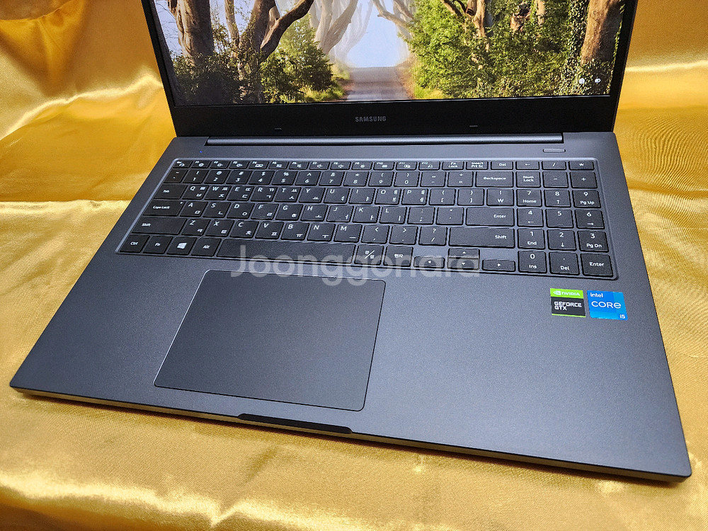 [SS급] 삼성 외장그래픽 플러스2 i5 16G 윈11--8