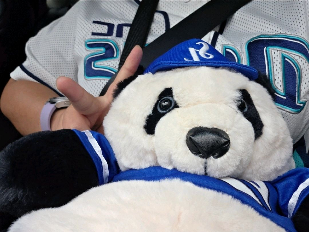 삼성라이온즈(바오패밀리) 러바오인형가방 판매합니다 이미지