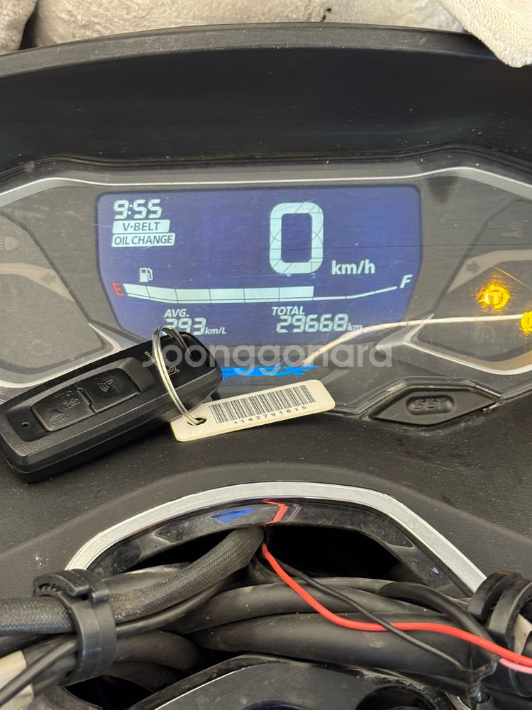 pcx125 24년식 팝니다--7