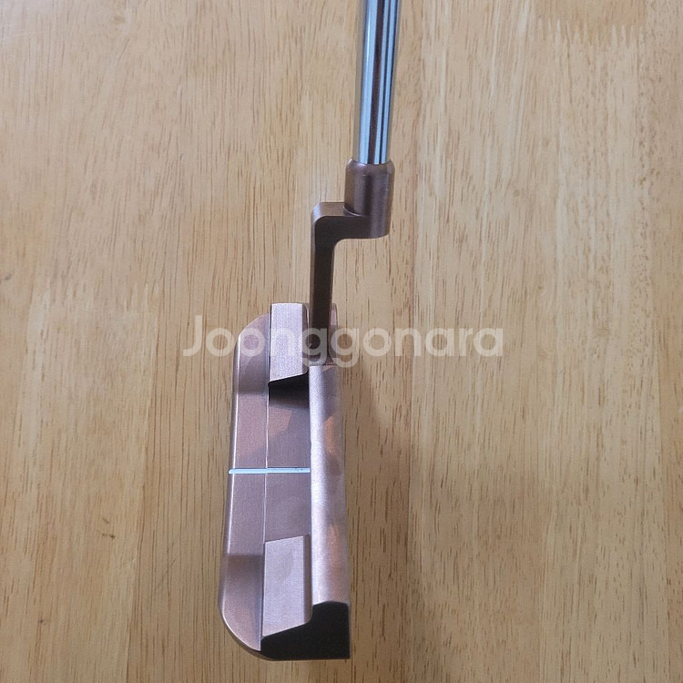 베티나르디 퀸비12--5