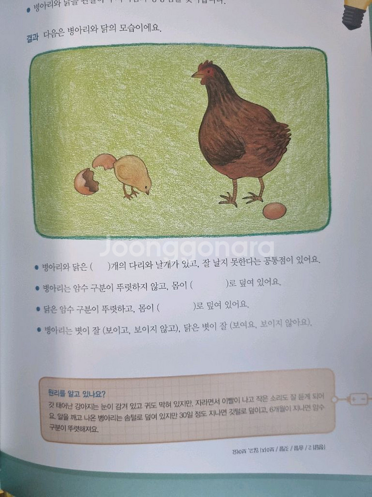 그레이트북스 생활속 원리과학 65권입니다(개정판)--4