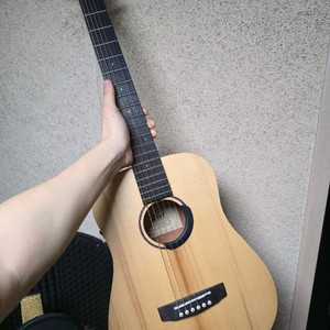 콜트 어스 미니 e 아디론닥