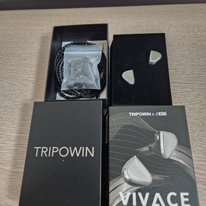 청주 영디비 비바체 이어폰 팝니다