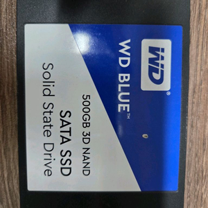 웬디 blue ssd 500g