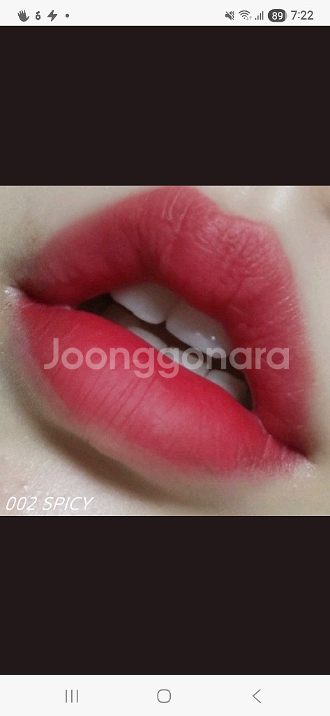 무지개맨션 오브제 워터틴트 002 스파이시--3
