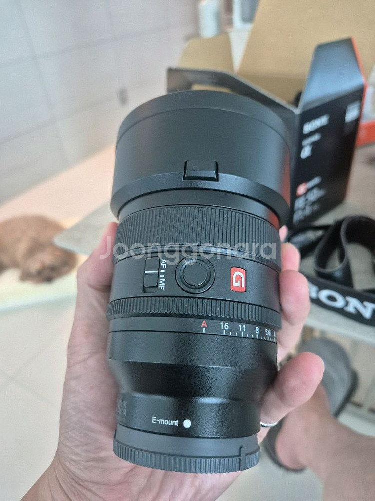 소니 a7cr fe 50 f1.4 gm단렌즈 픽디자인--4