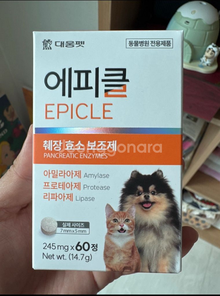 에피클 대웅제약--2