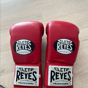 레예스 세이프텍 10온스 레드