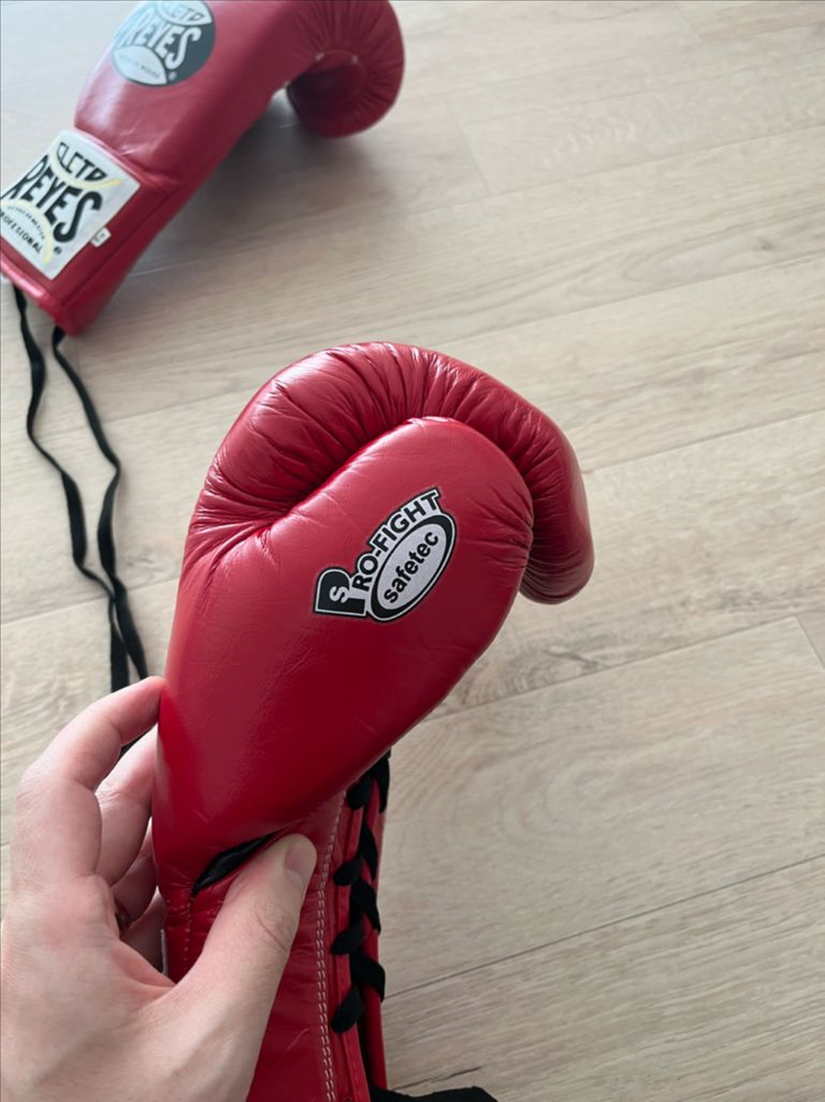 레예스 세이프텍 10온스 레드--4