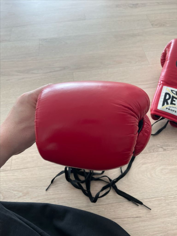 레예스 세이프텍 10온스 레드--6