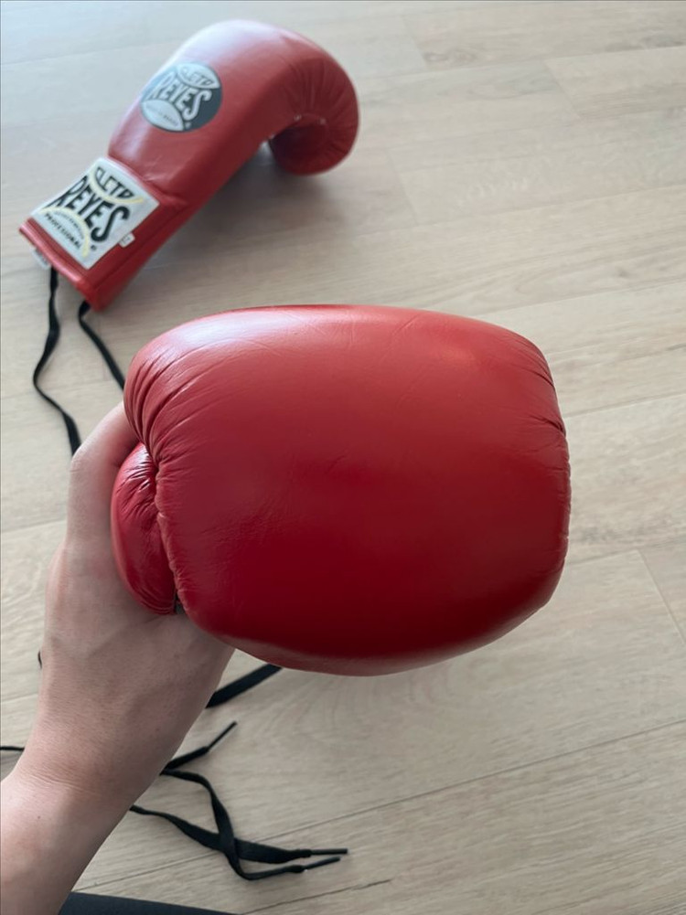 레예스 세이프텍 10온스 레드--3