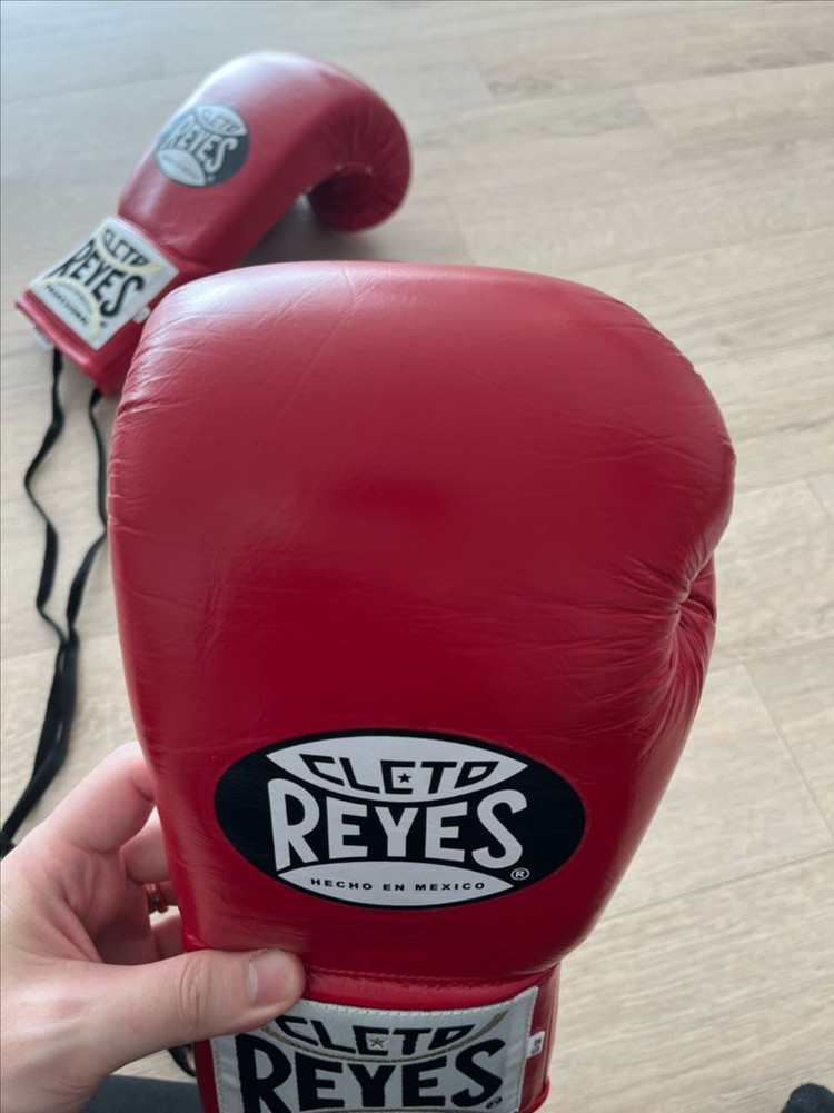 레예스 세이프텍 10온스 레드--5