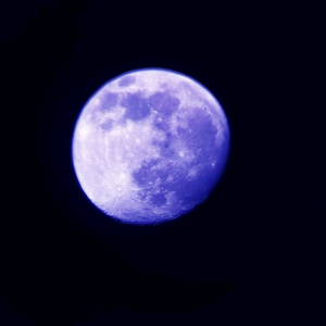 모바일 신세계 상품권 47만원권 판매합니다