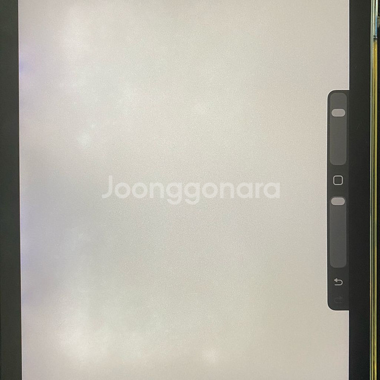 아이패드 프로 9.7 wifi 128GB--2