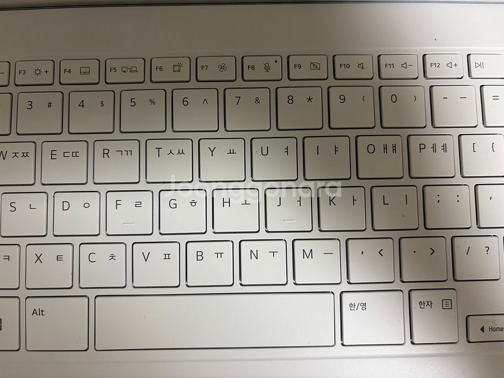 LG 그램 Pro 16 인텔 Arc 에센스 화이트--2