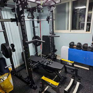 듀에슬론 홈짐멀티랙 스미스머신(거의풀셋 이전설치비포함)